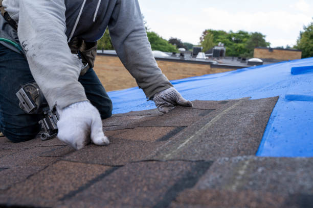 Best Roof Leak Repair  in Kountze, TX